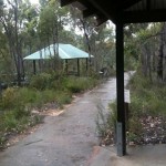 From the noticeboard shelter towards the picnic shelter